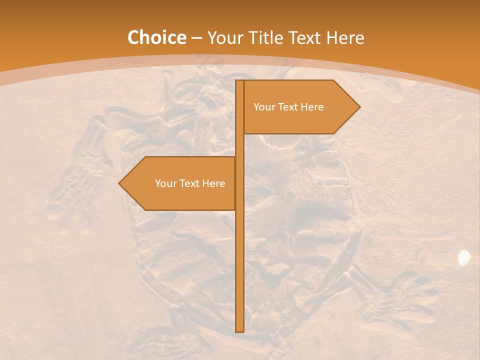 Wilderness Fossil History PowerPoint Template