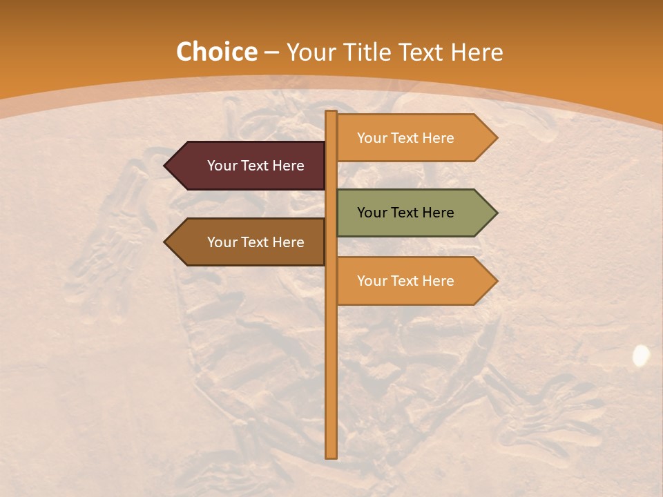 Wilderness Fossil History PowerPoint Template