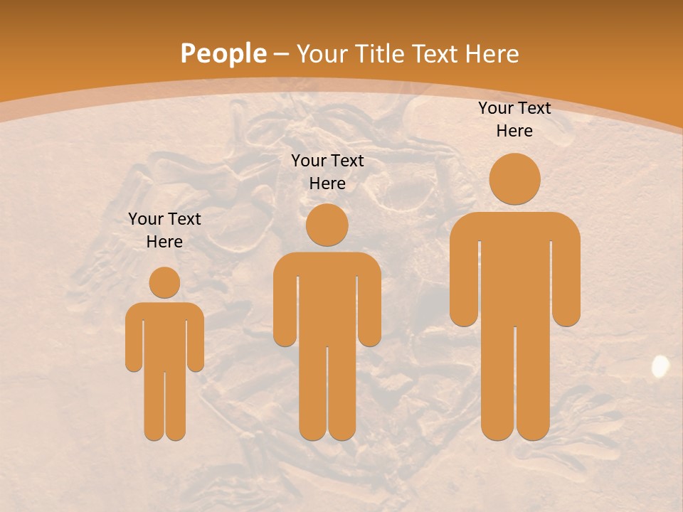 Wilderness Fossil History PowerPoint Template