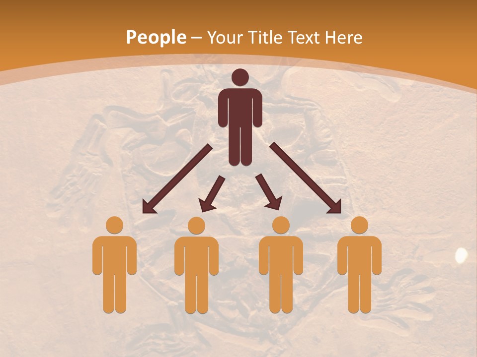 Wilderness Fossil History PowerPoint Template