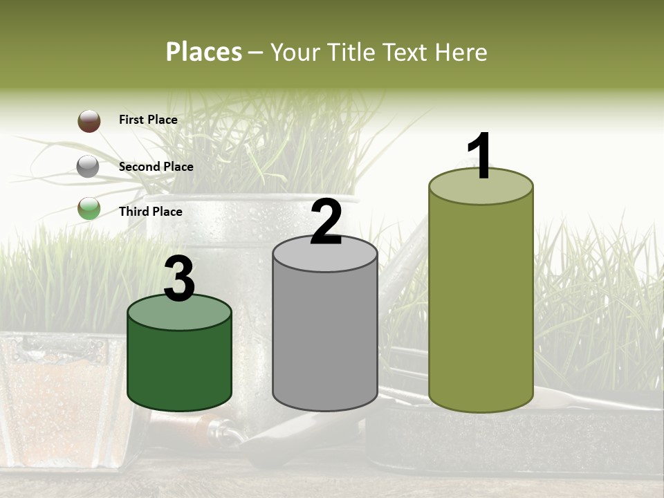 New Tool Healthy PowerPoint Template