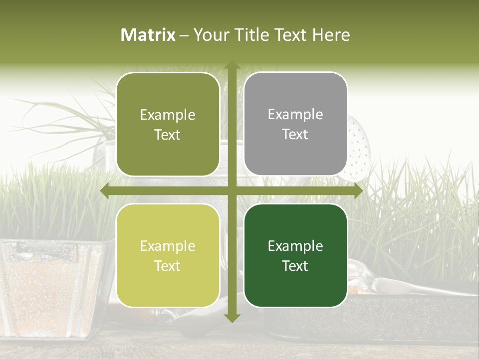 New Tool Healthy PowerPoint Template