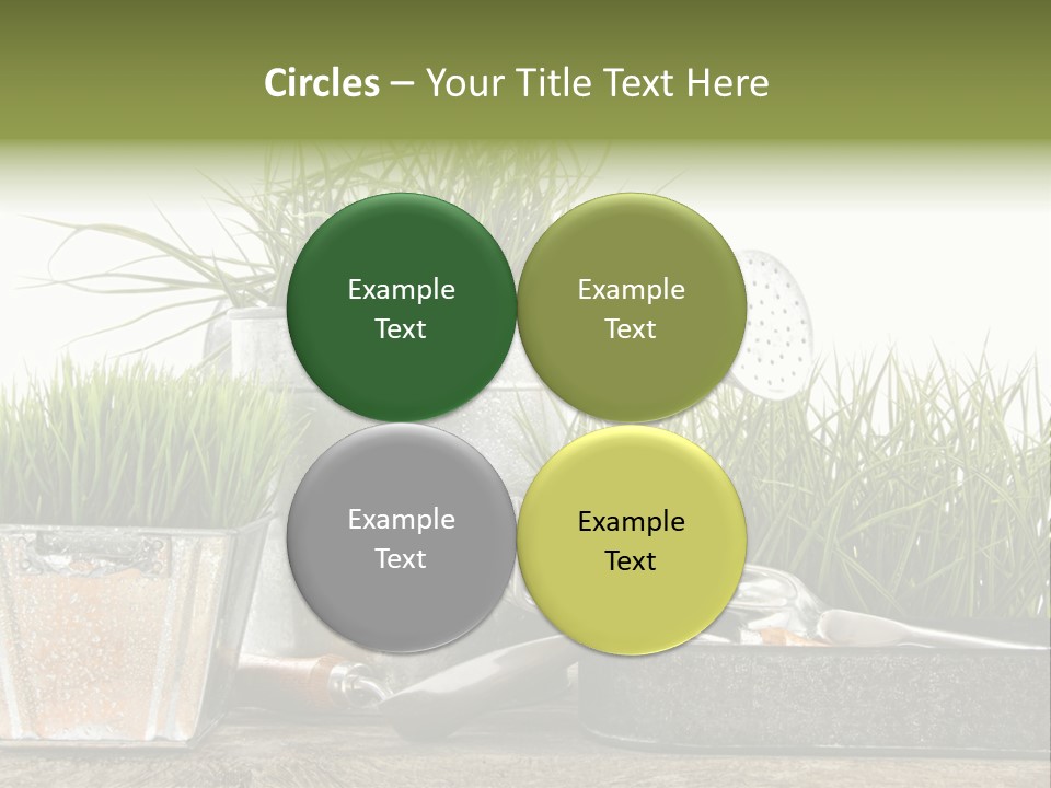 New Tool Healthy PowerPoint Template