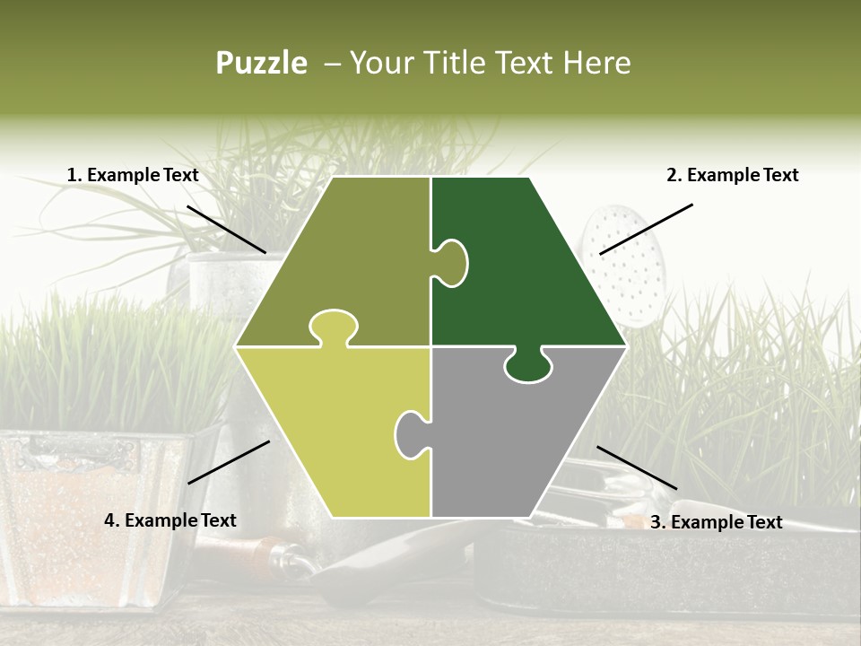 New Tool Healthy PowerPoint Template