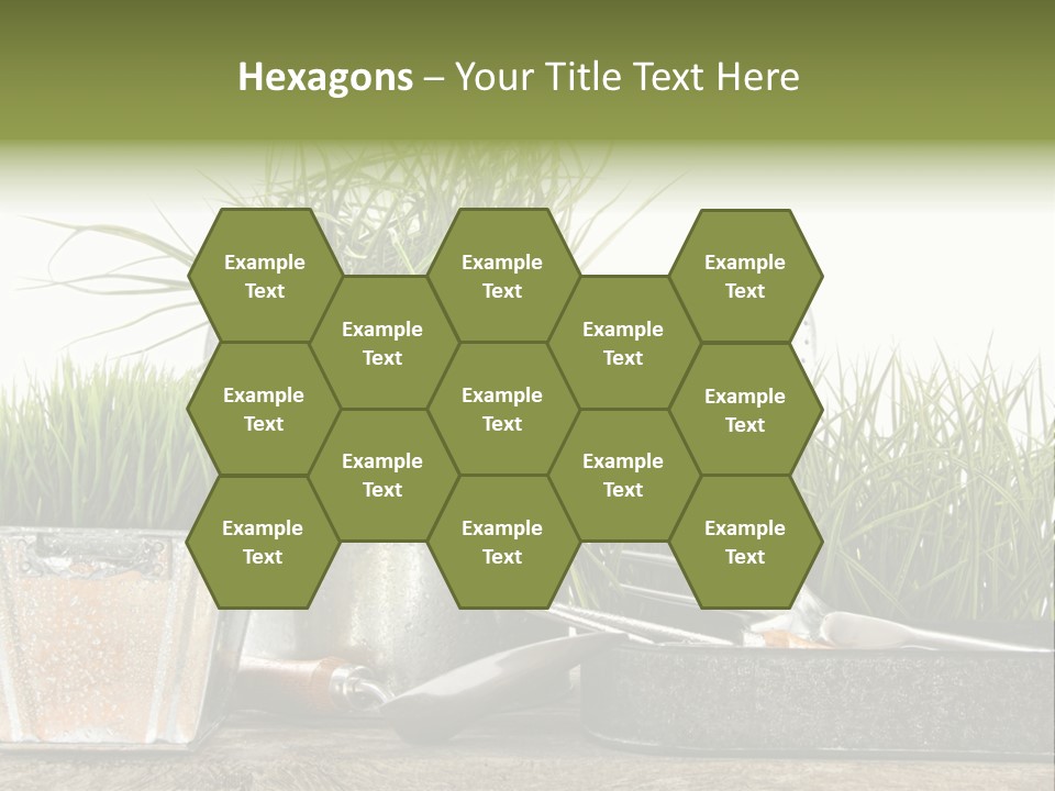 New Tool Healthy PowerPoint Template