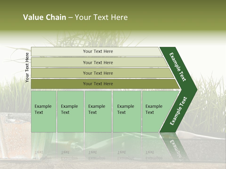 New Tool Healthy PowerPoint Template