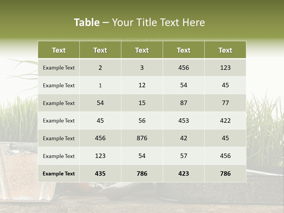 New Tool Healthy PowerPoint Template