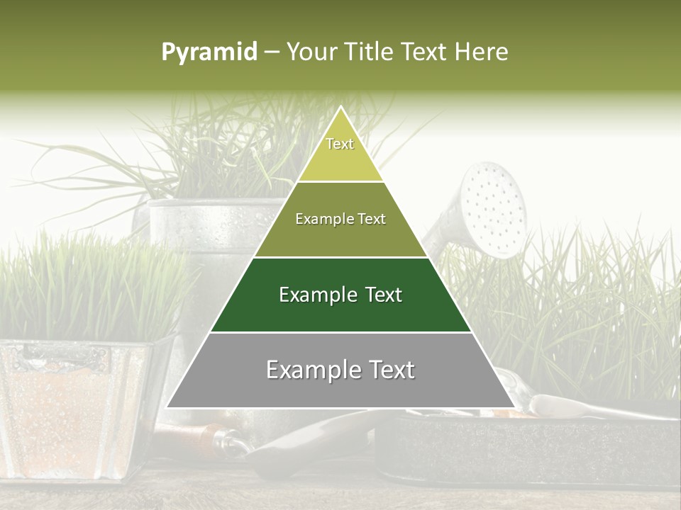 New Tool Healthy PowerPoint Template
