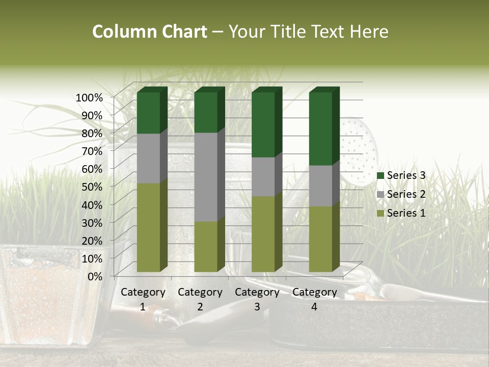 New Tool Healthy PowerPoint Template