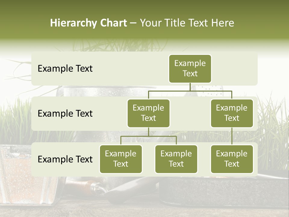 New Tool Healthy PowerPoint Template