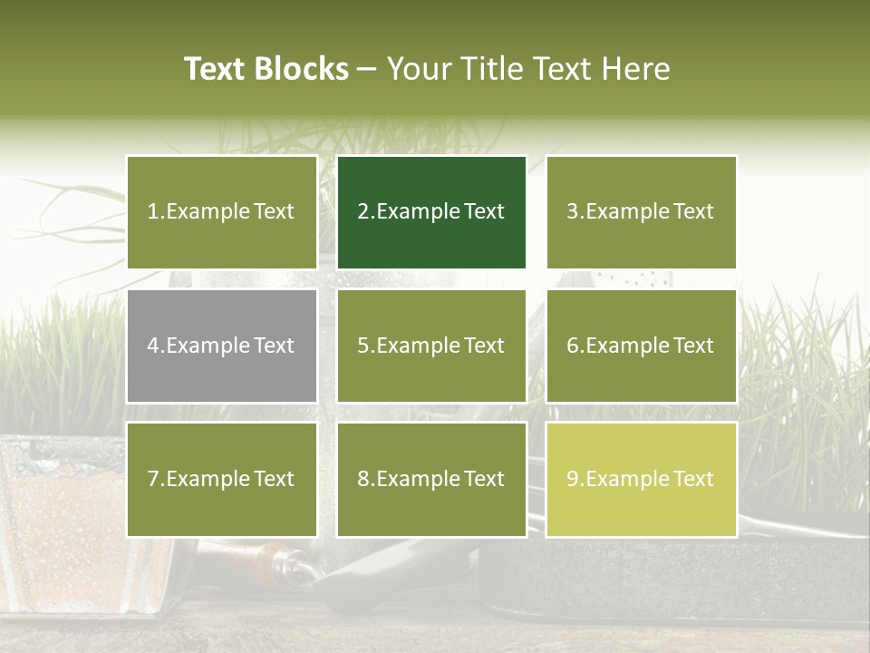 New Tool Healthy PowerPoint Template