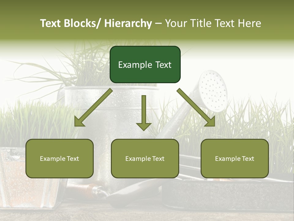 New Tool Healthy PowerPoint Template