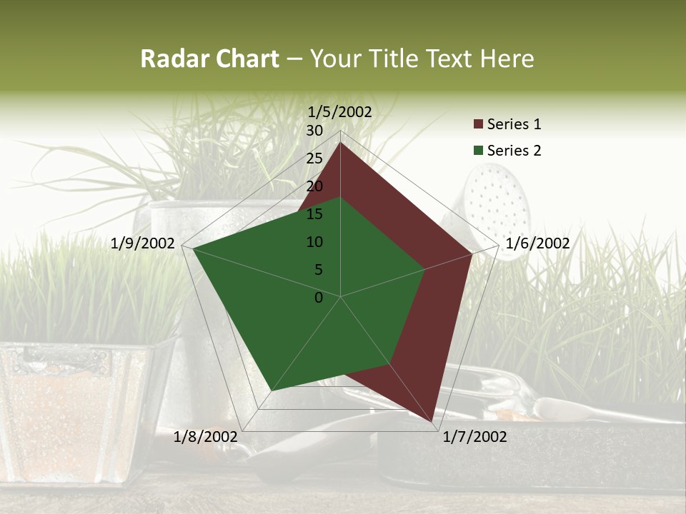 New Tool Healthy PowerPoint Template