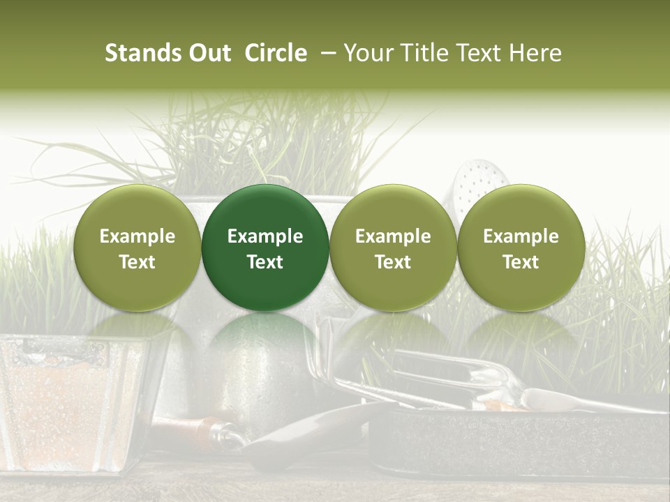 New Tool Healthy PowerPoint Template