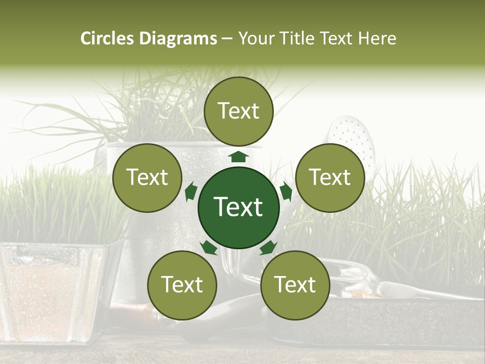 New Tool Healthy PowerPoint Template