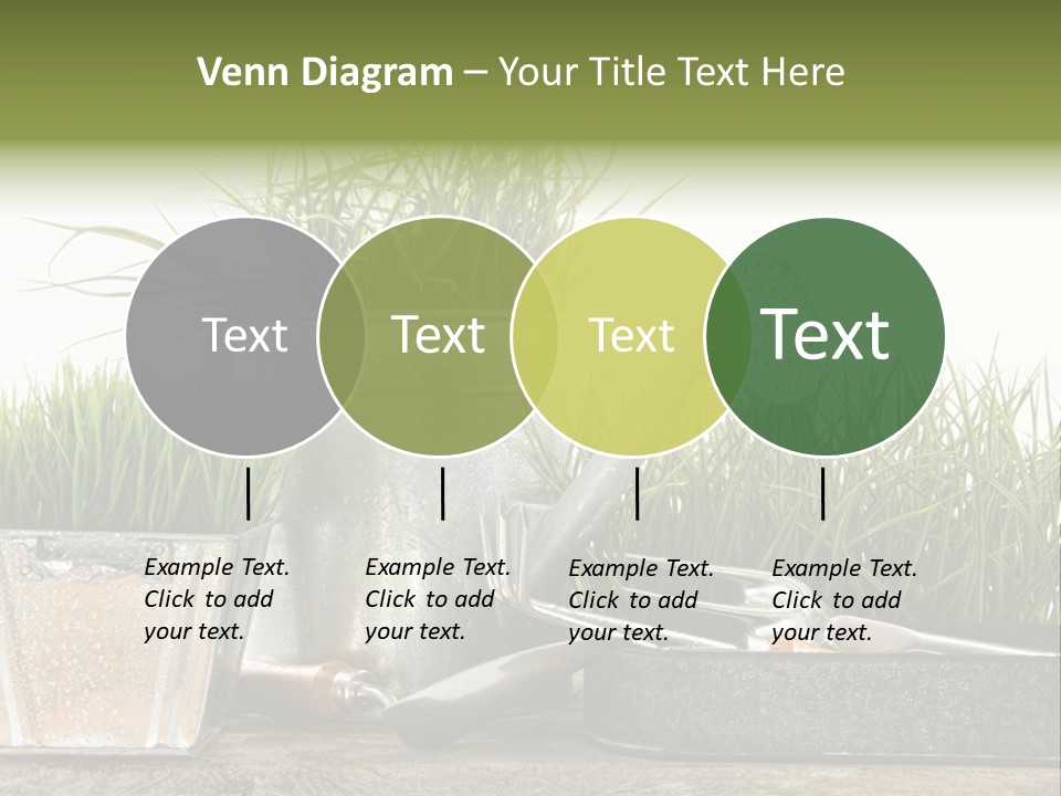 New Tool Healthy PowerPoint Template