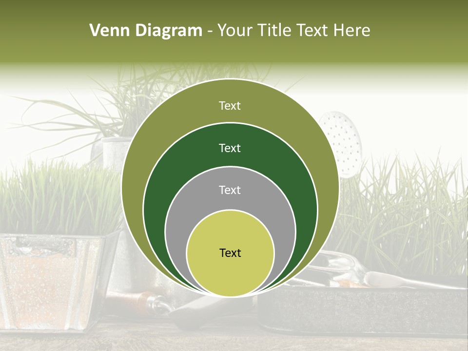 New Tool Healthy PowerPoint Template