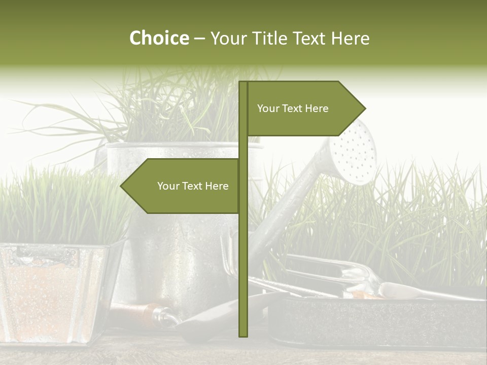 New Tool Healthy PowerPoint Template
