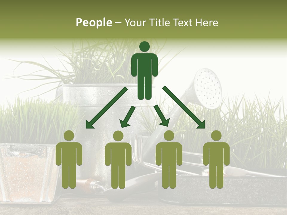 New Tool Healthy PowerPoint Template