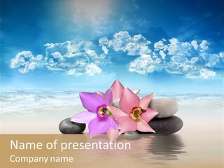 Beach Flora Stone PowerPoint Template