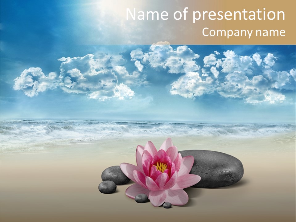 Skin Corporeal Stone PowerPoint Template