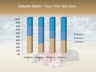 Skin Corporeal Stone PowerPoint Template