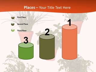 Peppermint Growing Leaves PowerPoint Template