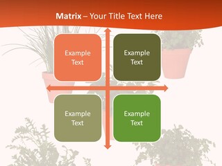 Peppermint Growing Leaves PowerPoint Template