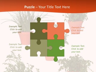 Peppermint Growing Leaves PowerPoint Template