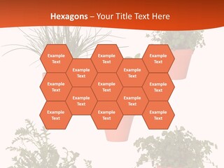 Peppermint Growing Leaves PowerPoint Template