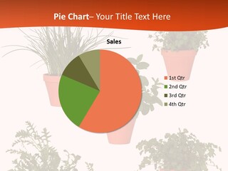 Peppermint Growing Leaves PowerPoint Template