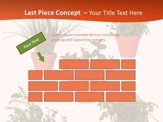 Peppermint Growing Leaves PowerPoint Template