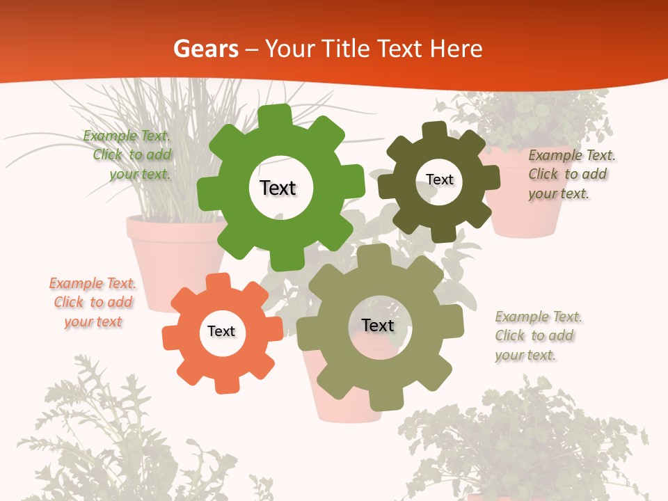 Peppermint Growing Leaves PowerPoint Template