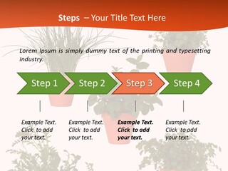 Peppermint Growing Leaves PowerPoint Template