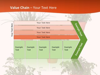 Peppermint Growing Leaves PowerPoint Template