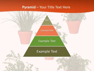 Peppermint Growing Leaves PowerPoint Template