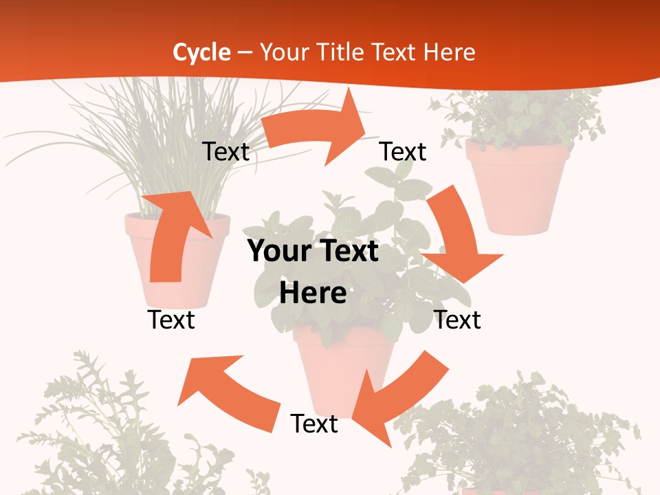 Peppermint Growing Leaves PowerPoint Template