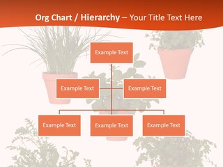 Peppermint Growing Leaves PowerPoint Template