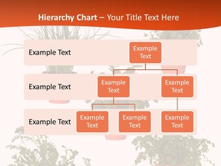 Peppermint Growing Leaves PowerPoint Template