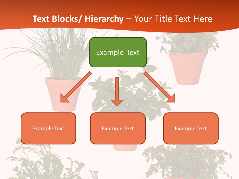 Peppermint Growing Leaves PowerPoint Template
