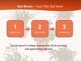 Peppermint Growing Leaves PowerPoint Template