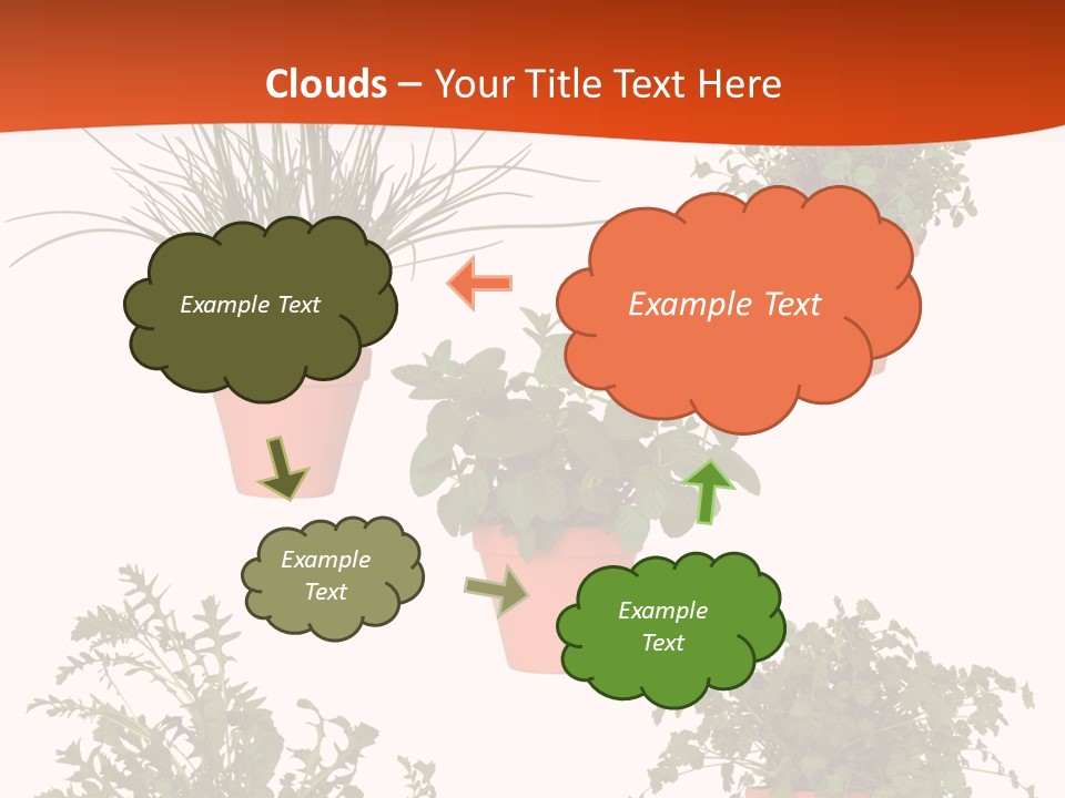 Peppermint Growing Leaves PowerPoint Template