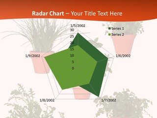 Peppermint Growing Leaves PowerPoint Template