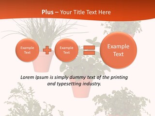 Peppermint Growing Leaves PowerPoint Template