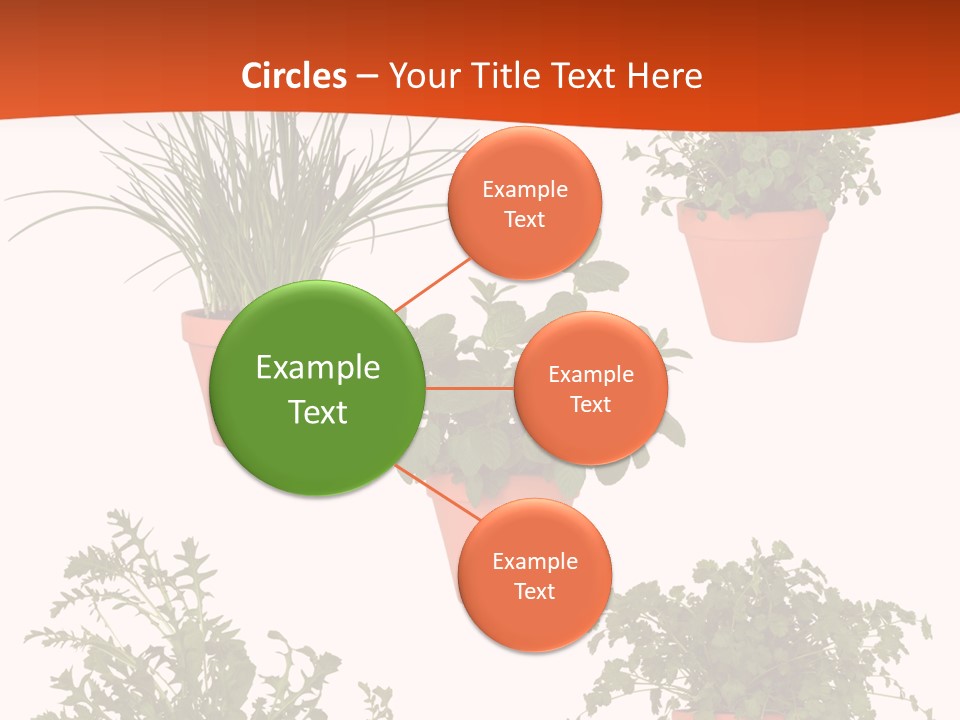 Peppermint Growing Leaves PowerPoint Template