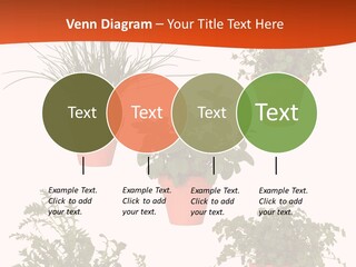 Peppermint Growing Leaves PowerPoint Template