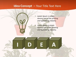 Peppermint Growing Leaves PowerPoint Template