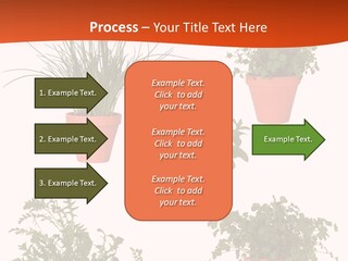 Peppermint Growing Leaves PowerPoint Template