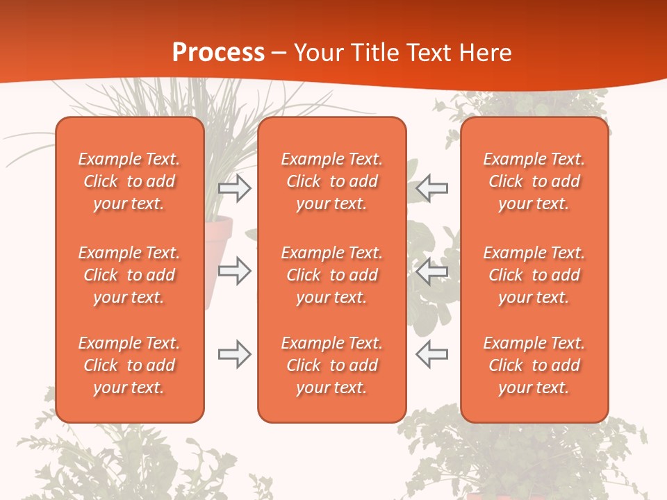 Peppermint Growing Leaves PowerPoint Template