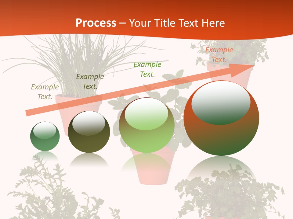 Peppermint Growing Leaves PowerPoint Template